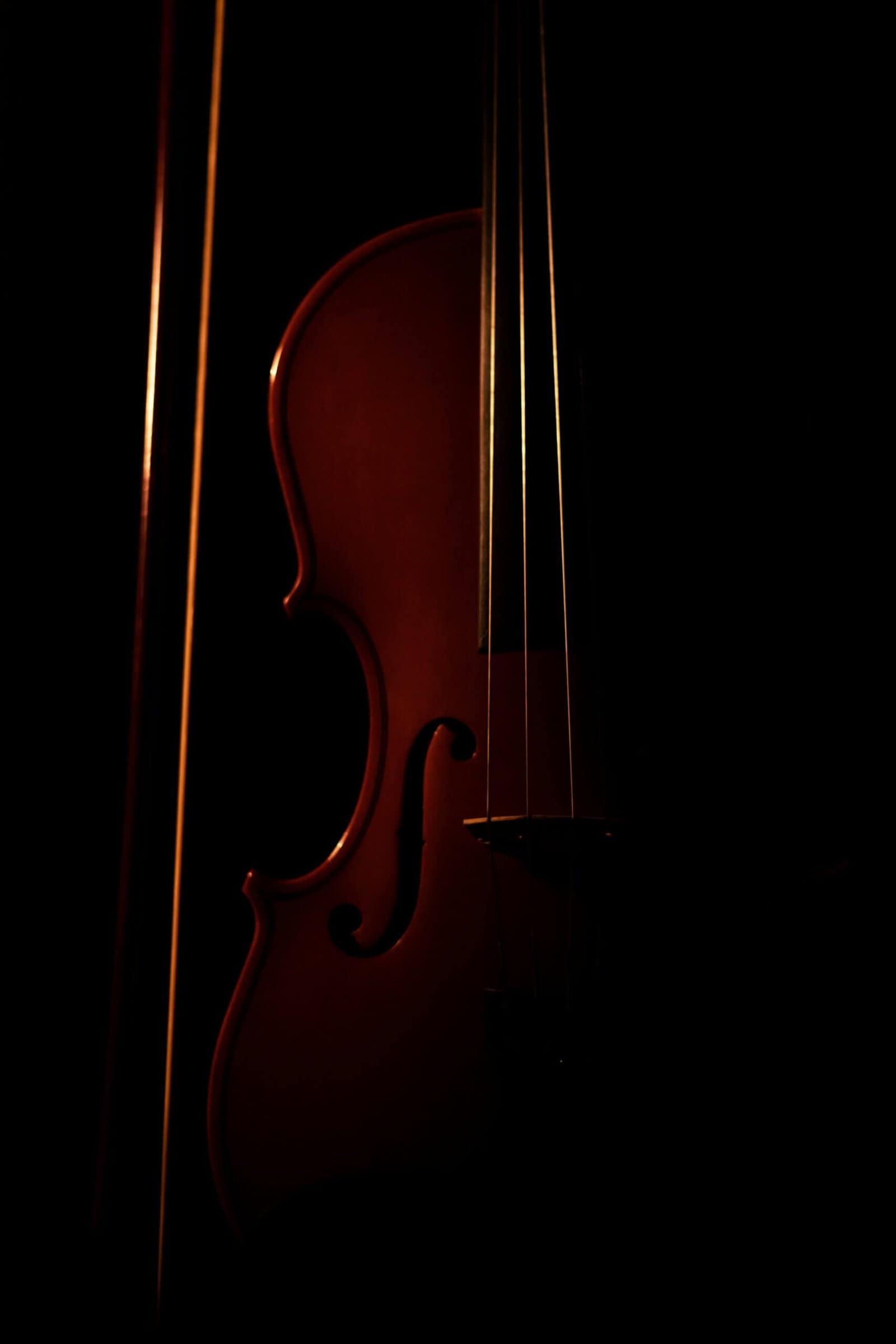 brown violin with black background
